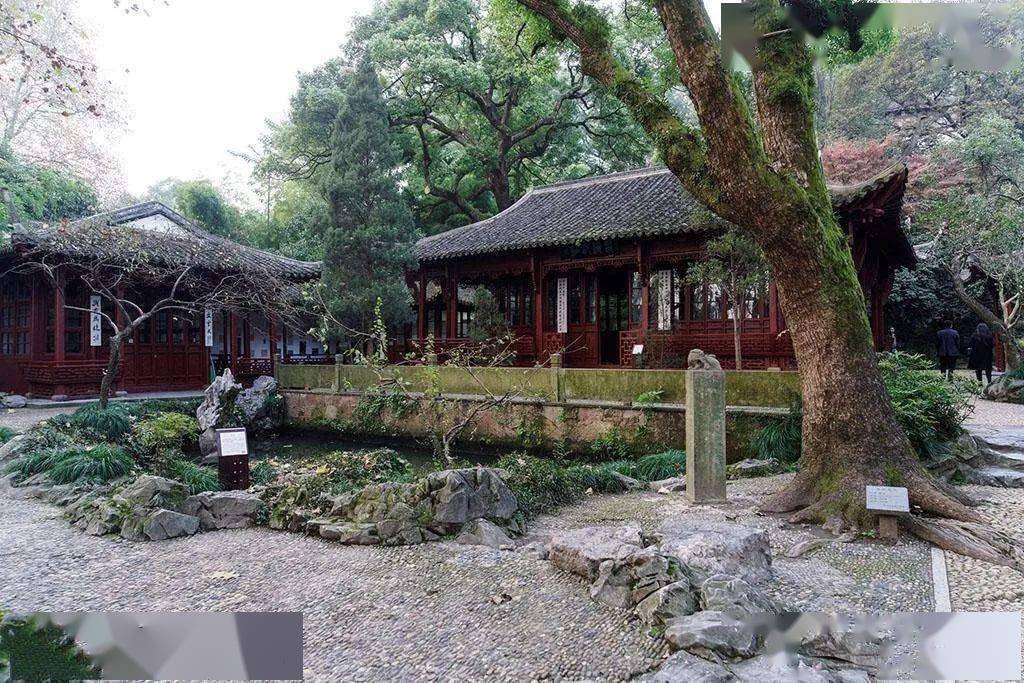 城管文化|如果青涩最搭初恋,那么杭州最配电影