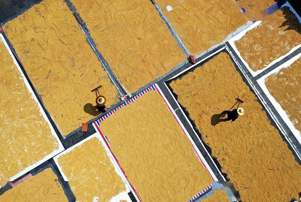 (来源:视觉中国)三江侗族自治县林溪镇冠洞村村民在晾晒稻谷.