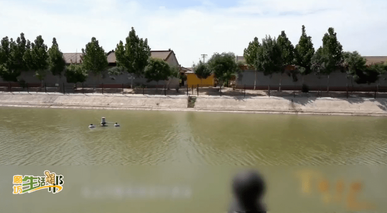 霸州市杨芬港镇张家堡村党支部副书记 董光山经过我们改造,把河塘的