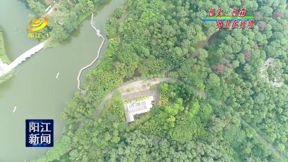 阳江金山植物公园让你森呼吸的城市绿肺