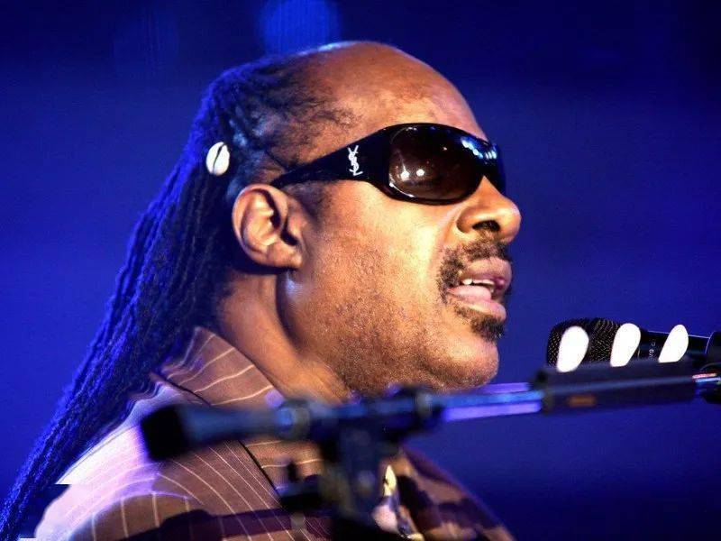 史蒂夫·旺达(stevie wonder 1950-)美国盲人歌手,作曲家,音乐制作人