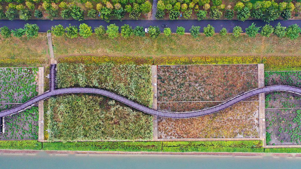 河南许昌人工湿地木栈道扮靓清潩河