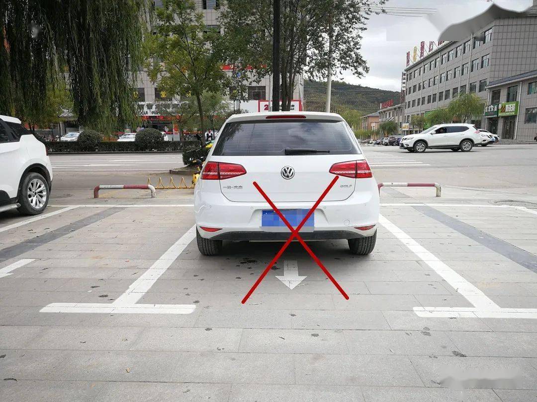 (不按照箭头指示方向停车)(压线停车)(一车两位)(非机动车道逆向停车)