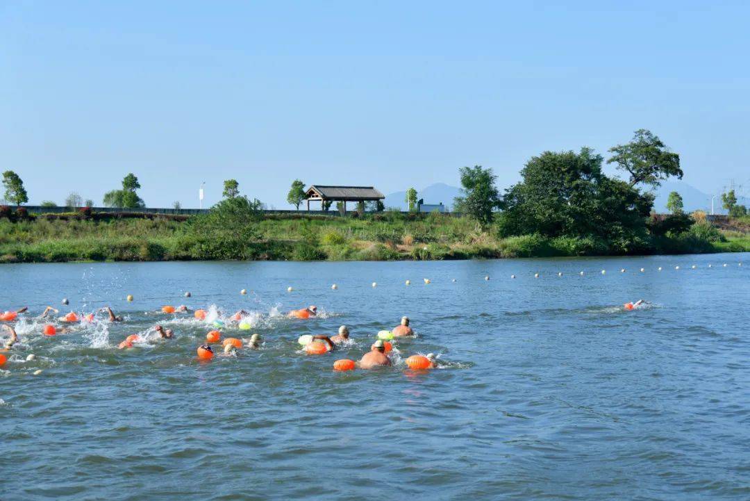温州市2020公开水域游泳锦标赛在龙港举行