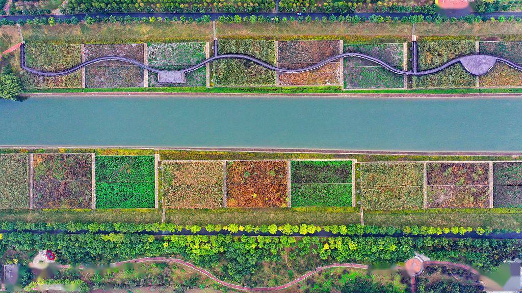 (来源:视觉中国)据悉,人工湿地栈道宽约2米,设计有直段栈道,弧段栈道