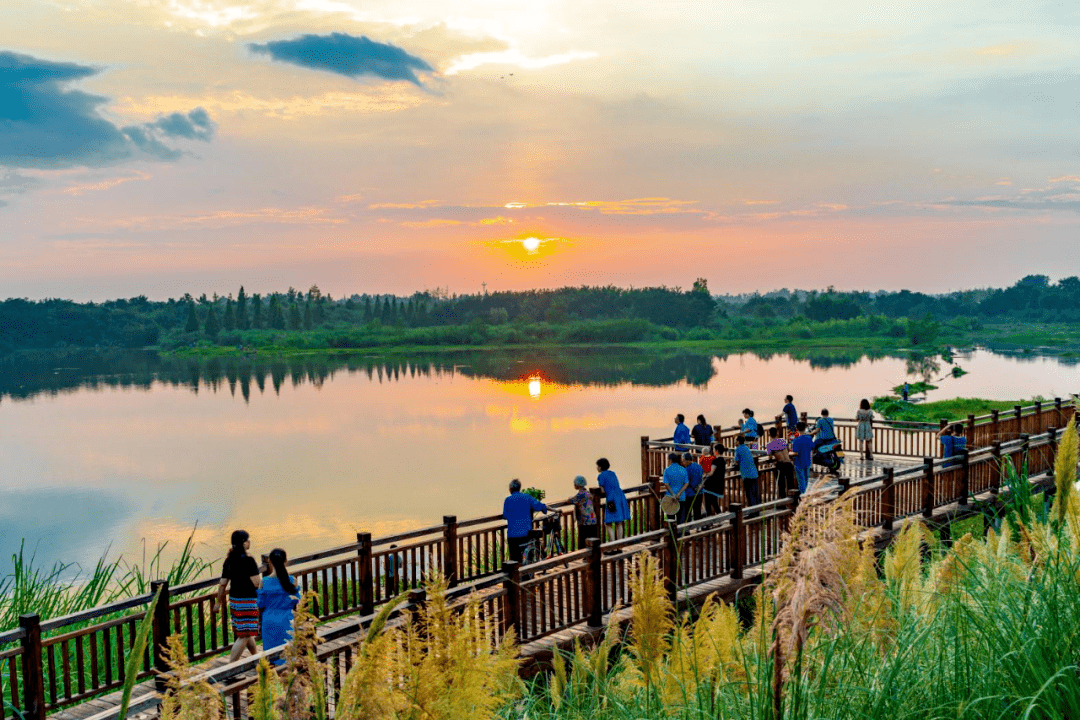 水环境质量得到良好守护;金马河,江安河,杨柳河断面水质稳定达到Ⅲ类