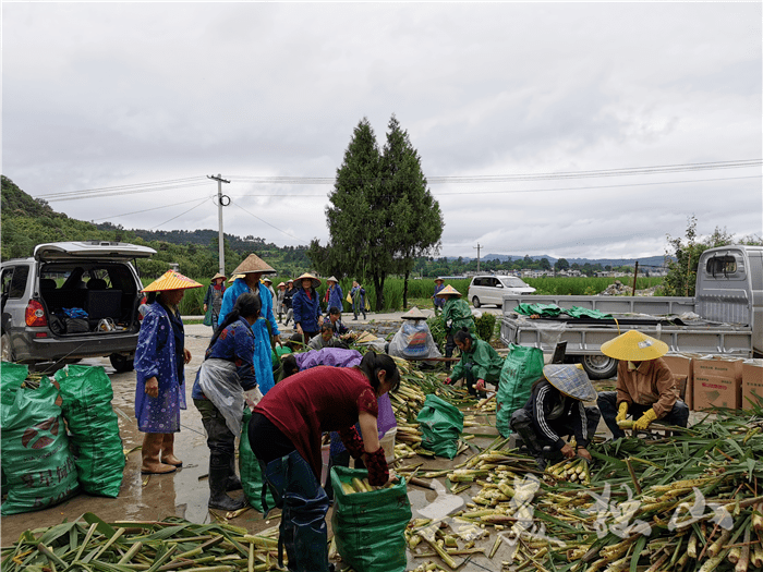走向我们的小康生活独山上司镇村社合一助推乡村振兴