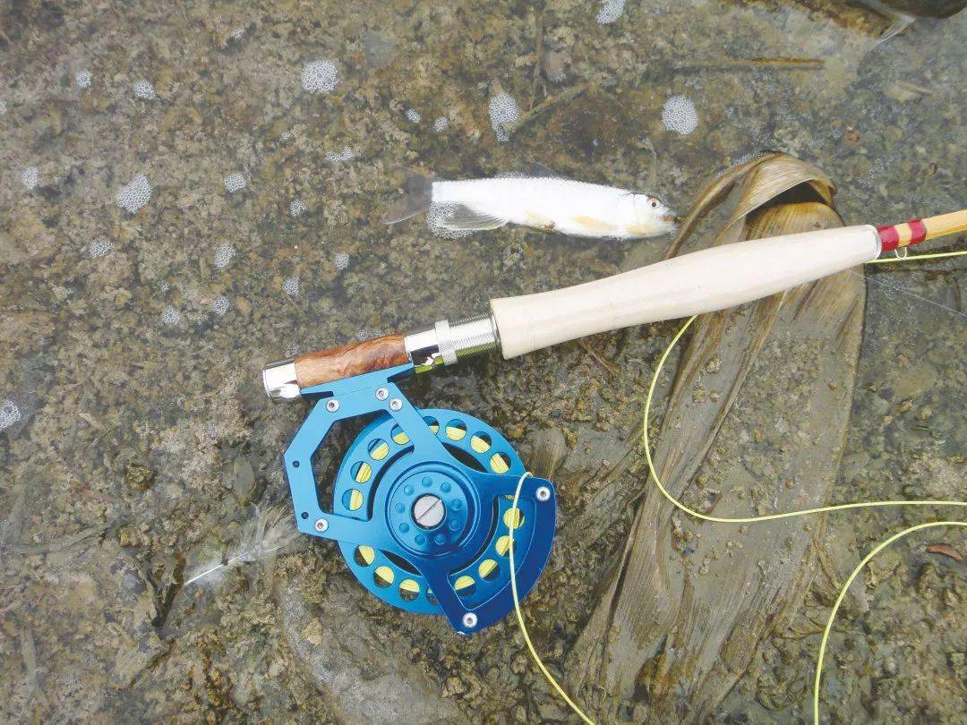 别再总想着路亚马口了,教你用飞蝇钓法钓一下~(上)_手机搜狐网