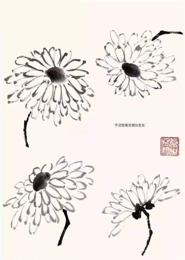 国画课堂谭老师教你画水墨菊花