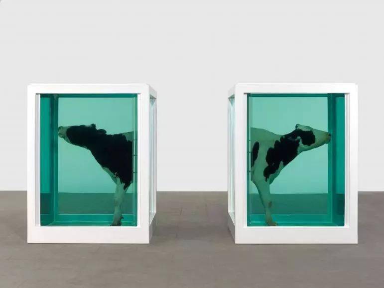 英国当代艺术家 damien hirst