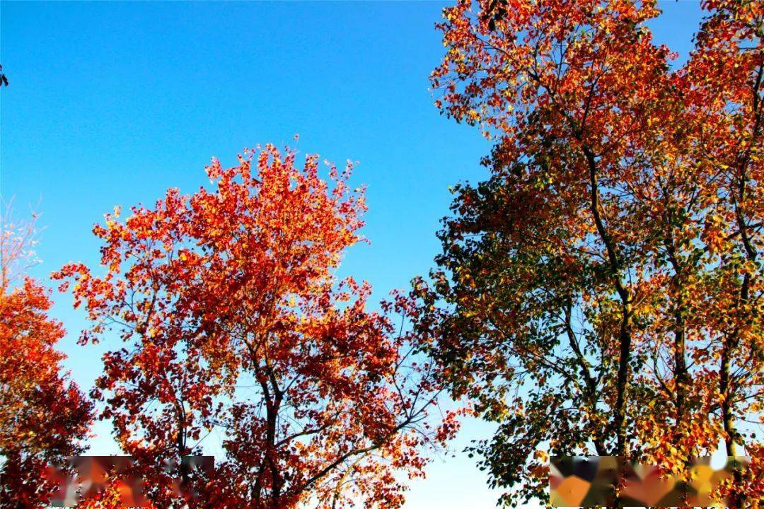 头条运河流新韵名城秋正好来吧游遍四周醉美泗州