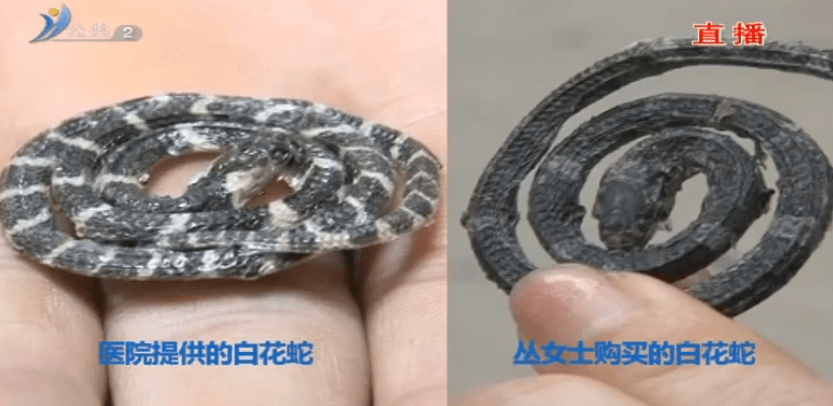 对比医生手中的正品白花蛇,丛女士买到的白花蛇明显黑白相间的环纹