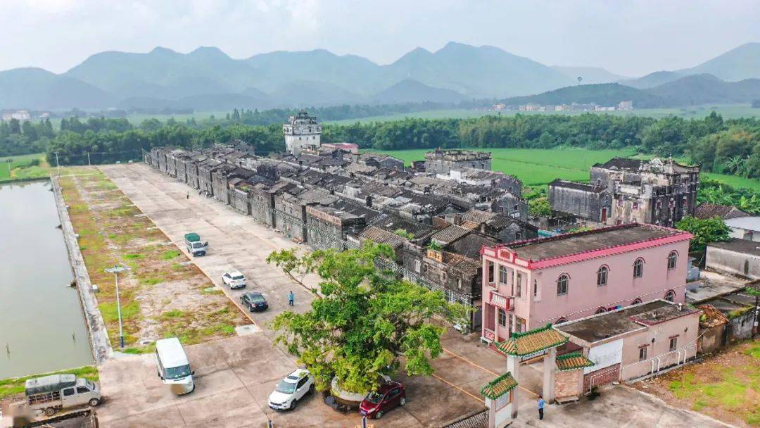 黑豆冬瓜木瓜编织冲蒌镇太优秀了附中奖名单