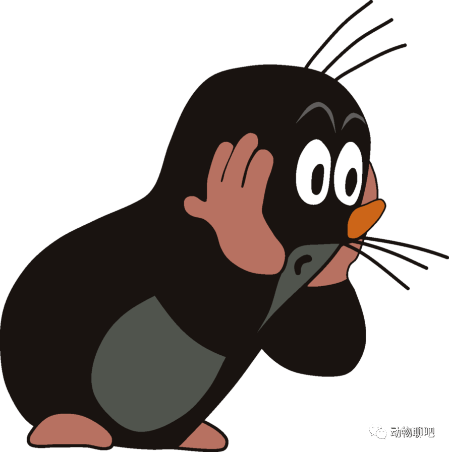 真正的女汉子她为生存也真够拼竟进化出雌雄同体的性别