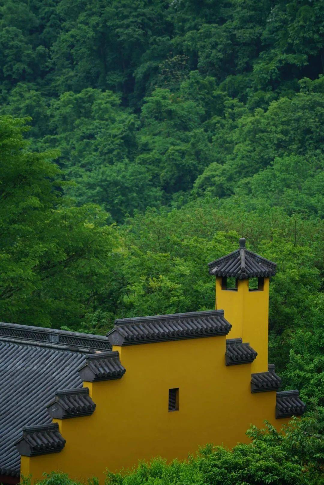 黑瓦黄墙这座寺庙藏在幽深的山林之间藏着一个更为小众清静的寺庙其实