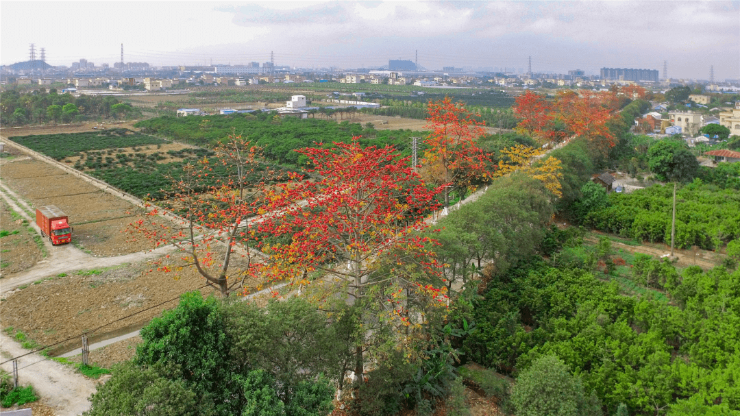 臘味,龍舟等元素歷史文化的民間特色這裡融入了黃圃鎮公園內建有一座