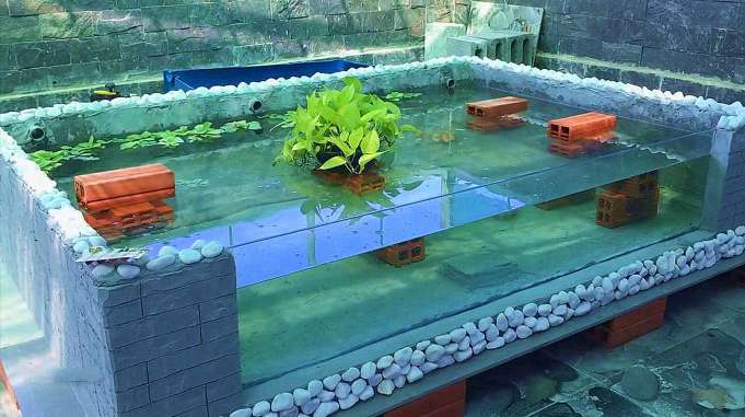 只需要2个废弃的泡沫箱就能做一个这样的大鱼池你会爱上它的