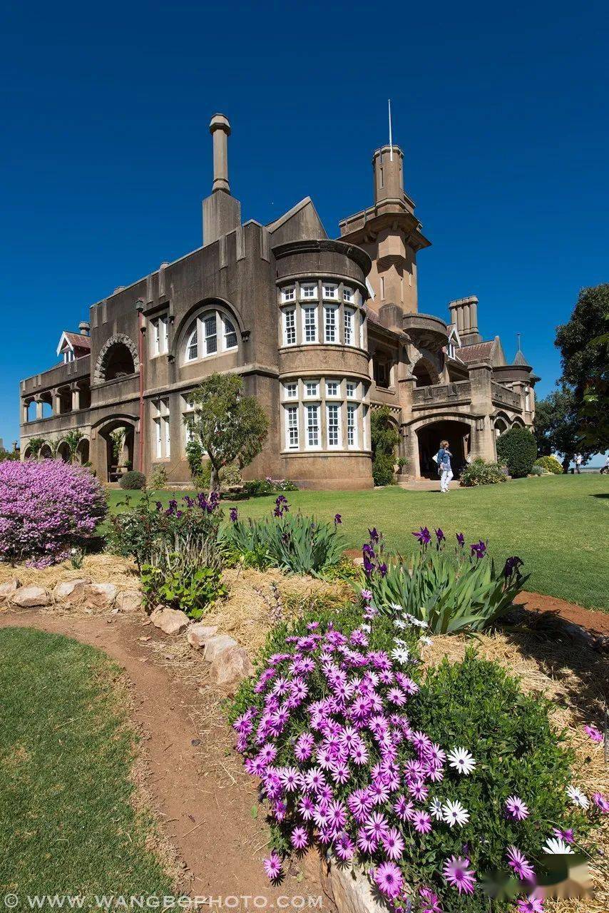 2020澳洲油菜花总结