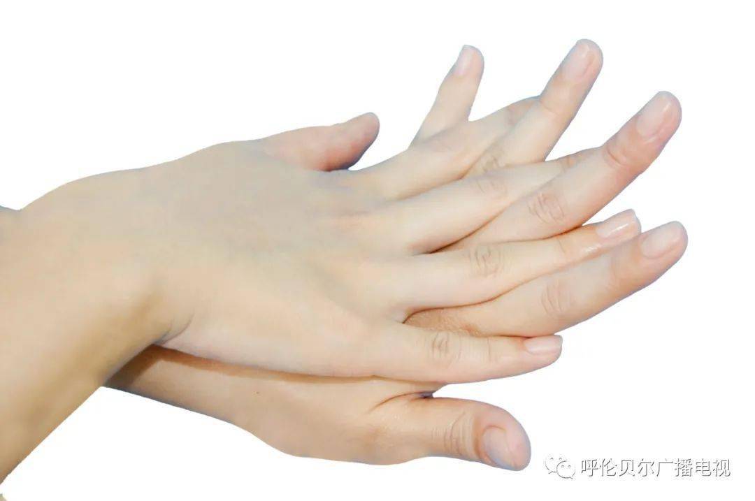 你的手真的洗干净了吗