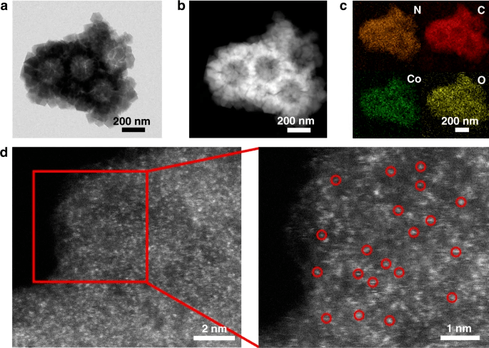 nature子刊:中科院宋礼团队再提储能中的催化单原子!_手机搜狐网