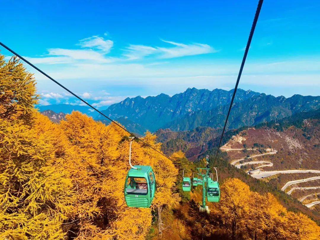 关于太白山拂云阁索道停运的公告
