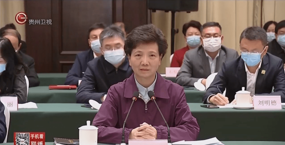 省委书记委托,西南腹地的女省长远赴东北_手机搜狐网