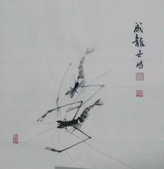 水墨虾的分步画法及创作示范