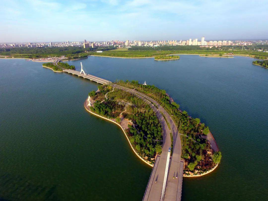 茌平名臣故里廉花开