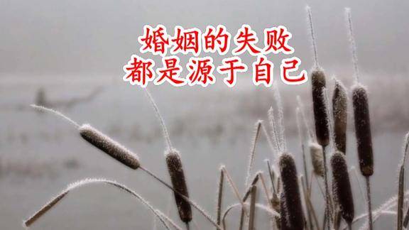 婚姻的失败都是源于自己!