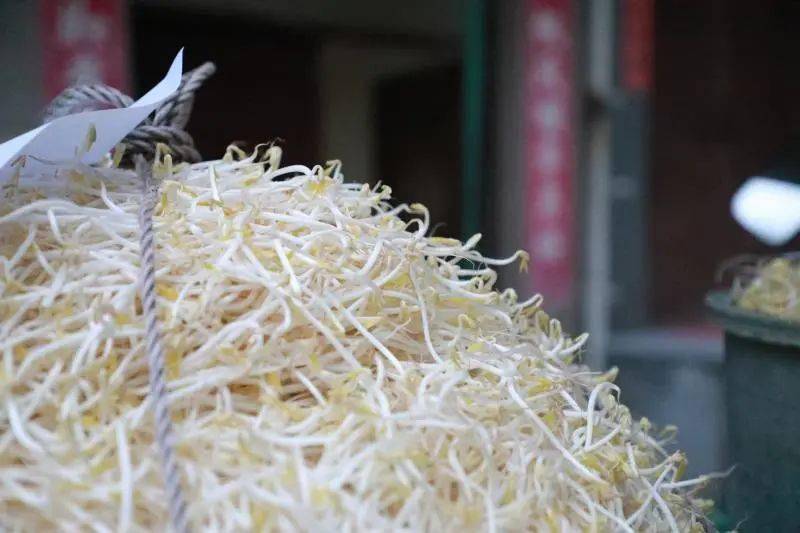 民警缴获一千多斤毒豆芽阻断它们流向丽水人的餐桌