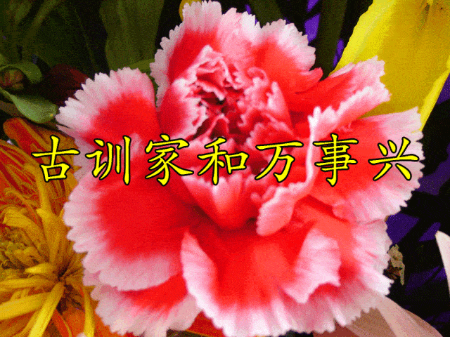 尹家人相册38张