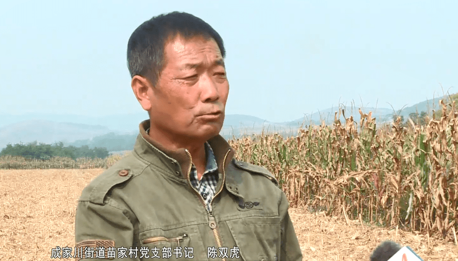 微头条成家川街道产业发展让乡村颜值更高