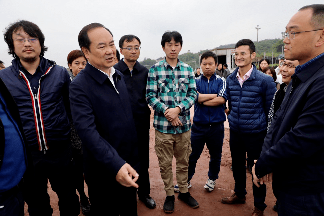 唐川督导乡村振兴工作抓实双十万工程抓好人居环境整治匠心绘制乡村