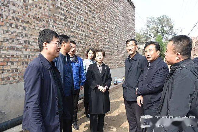 武晓花督导调研集中供热等重点工程确保供热入户工程如期完工让广大