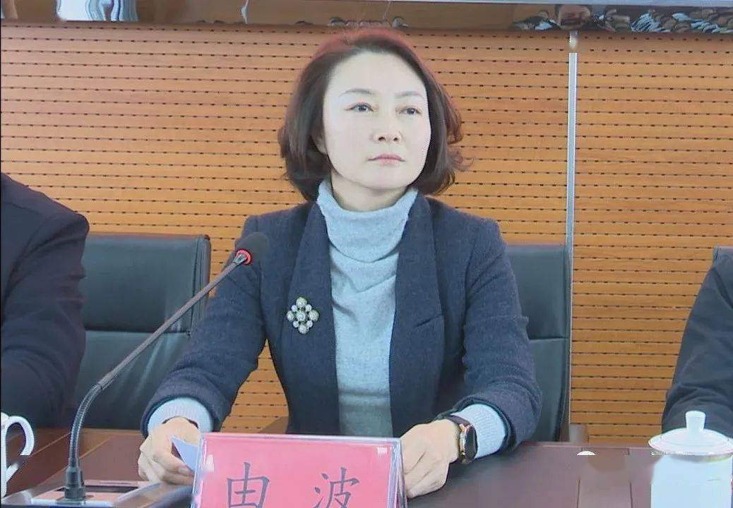 本溪市社会心理服务培训及宣传活动启动仪式暨青少年心理健康志愿服务