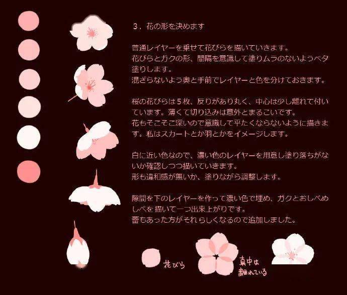 樱花结构图解图片