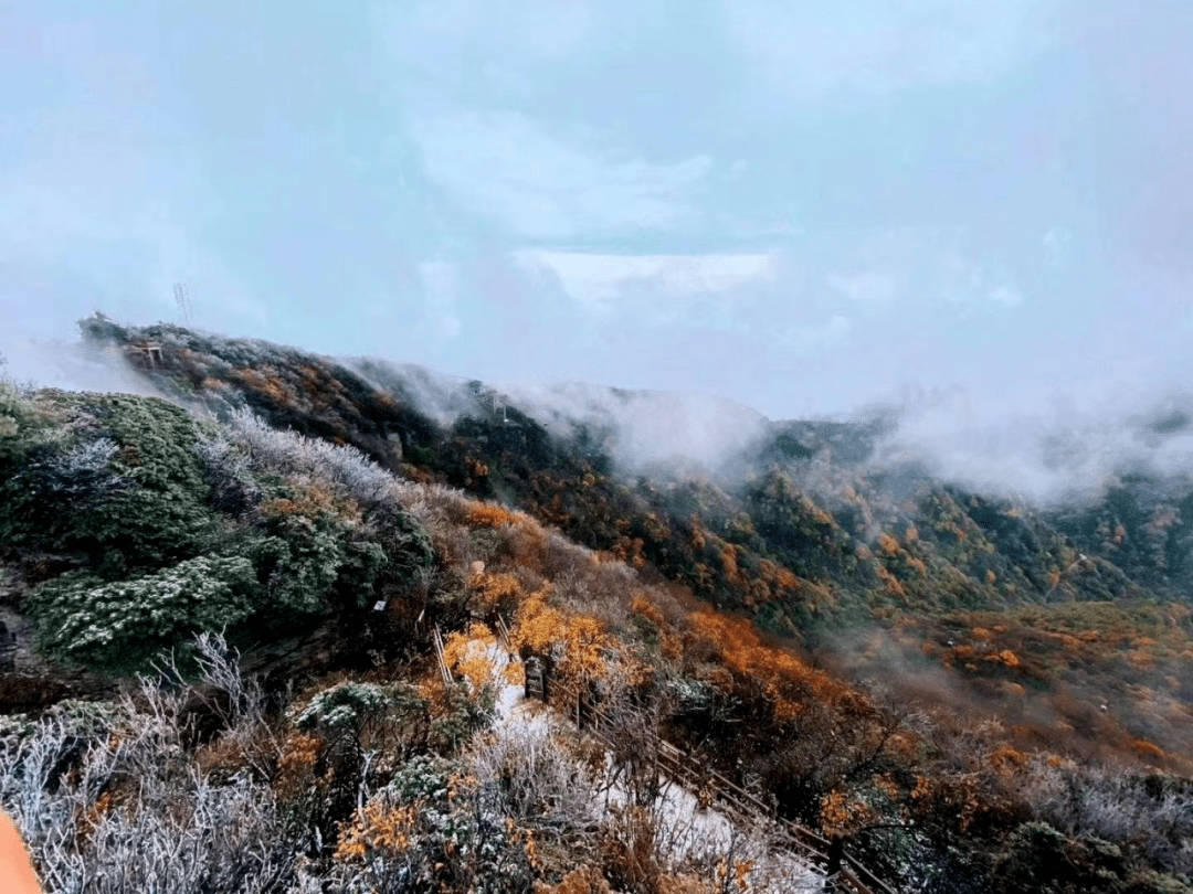 十月中旬 不僅有滿山遍野的紅葉 還有裝飾穹頂的白雪 你知道嗎?