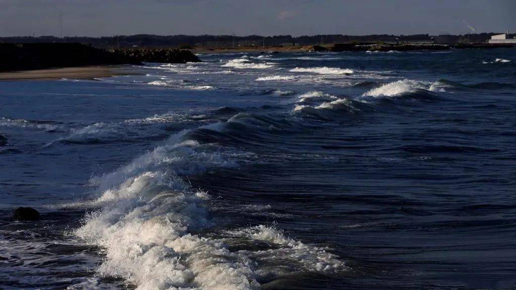 "我们别无选择" 这是要拉着全世界陪葬?