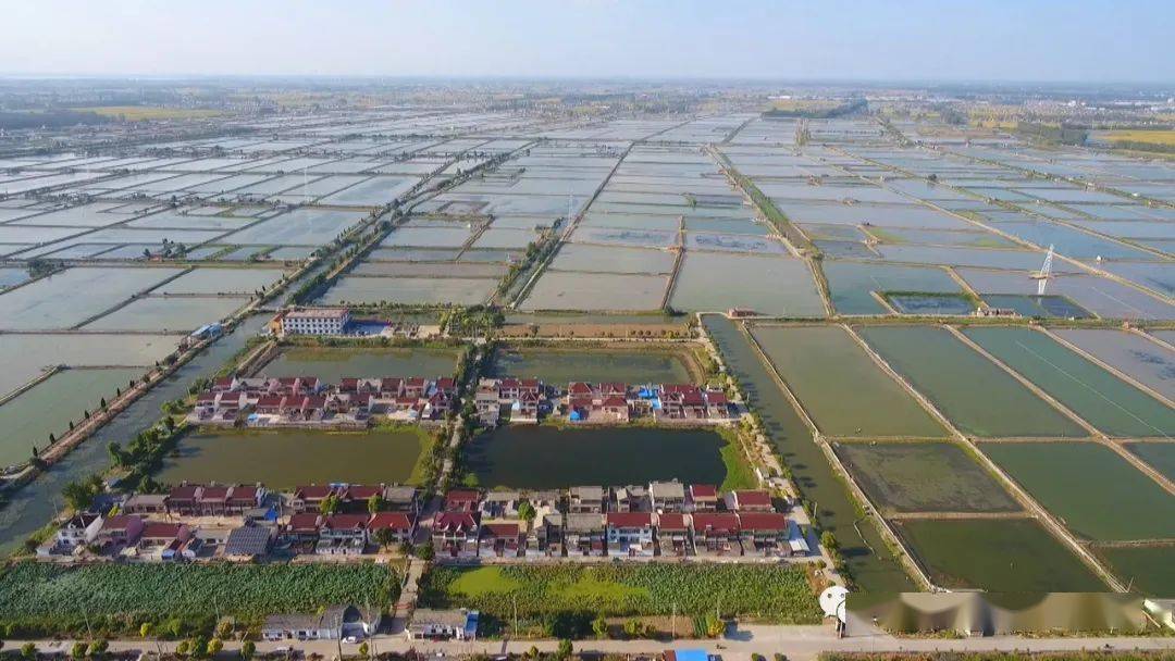 宝应湖畔上的明珠渔场村