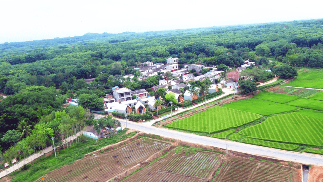 海南省儋州市大成镇图片