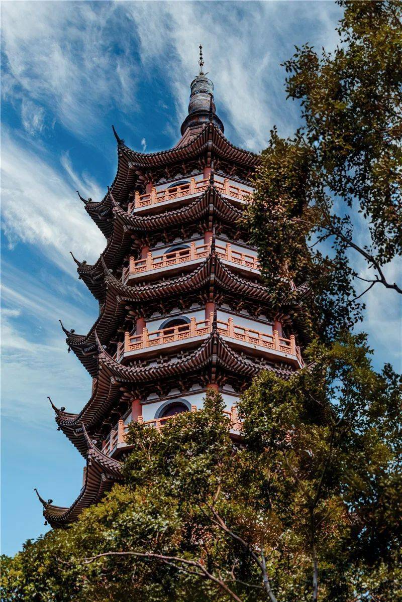 宁波百景图 | 快来镇海,赏花登山看海随你选!_景区