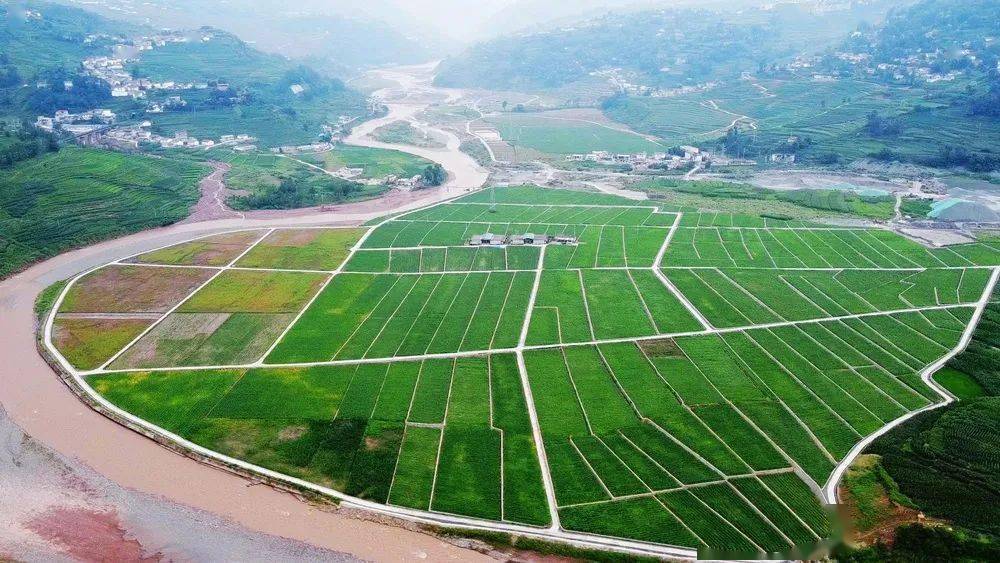 乌蒙山连片区域土地整治重大扶贫项目越西子项目通过州级验收