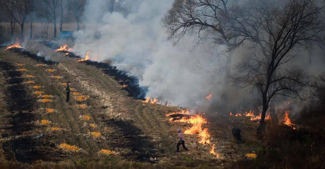 治安处罚拘留任丘老乡注意8人因焚烧秸秆被处罚