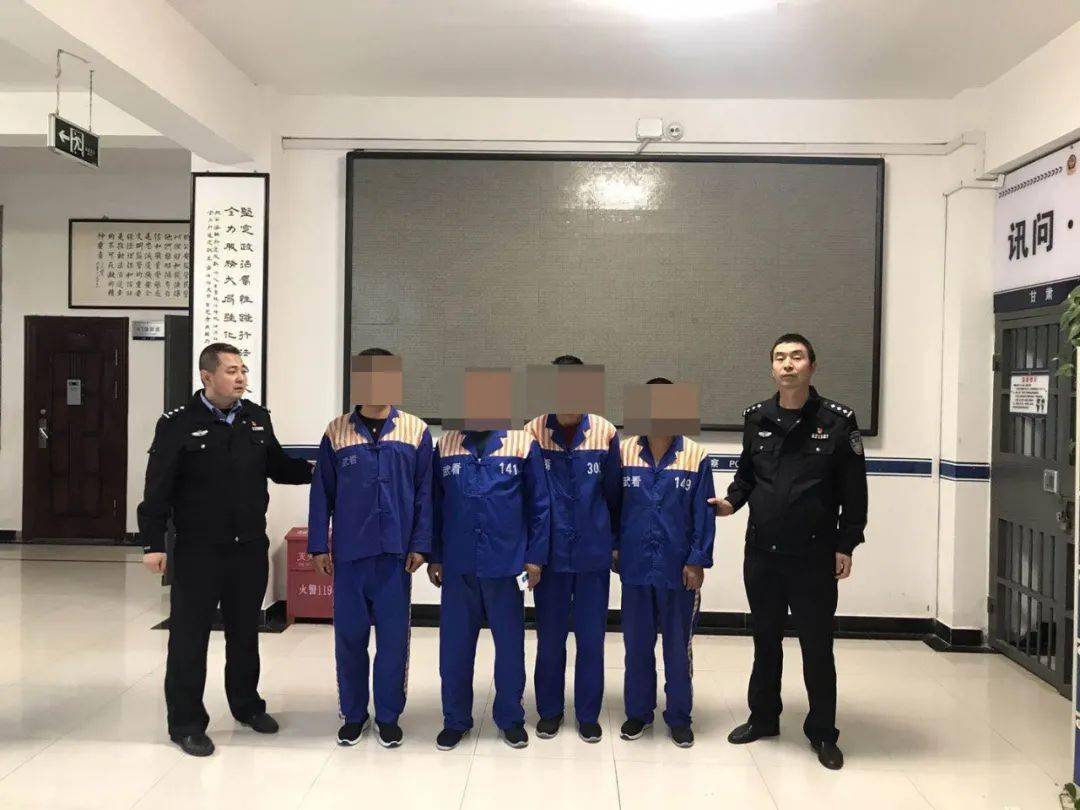 陇南4名"醉猫"被依法刑拘_武都