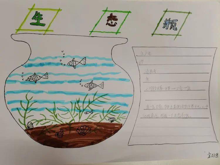 让自然世界更美好——本真部五年级科学生态系统手抄报展示