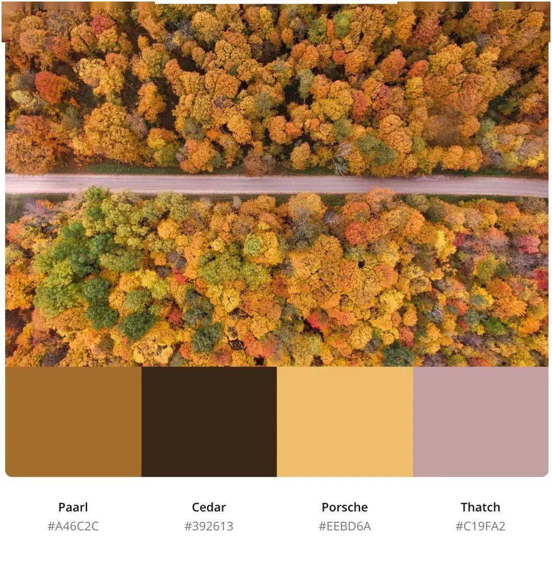 3,景物篇2,绘画里的秋天秋天配色方案1,电影里的秋天