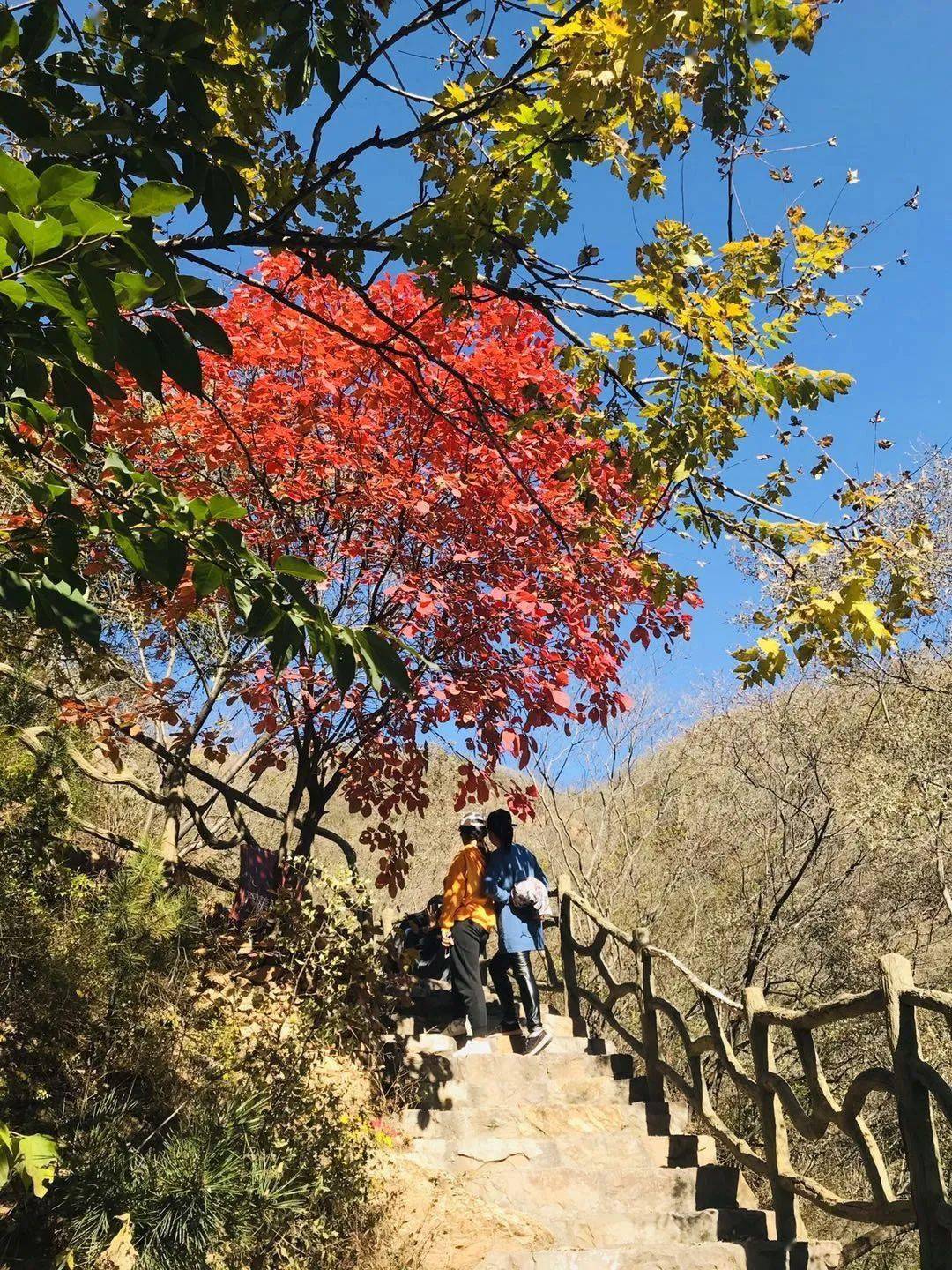 赏秋指南最美的秋最美的神泉峡