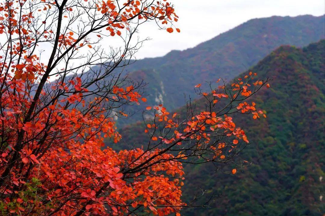 秋天最适合去哪里旅游(秋天适合去哪里旅游四川)（秋天适合去哪里旅游?）(图1)