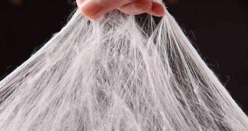 走进千奇百怪的功能仿生纺织品