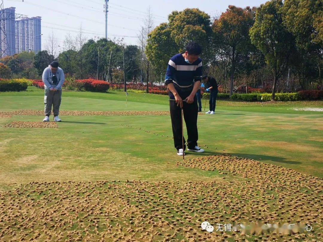 温馨提醒 | 果岭打孔养护作业通知_草坪